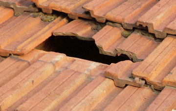 roof repair Knitsley, County Durham